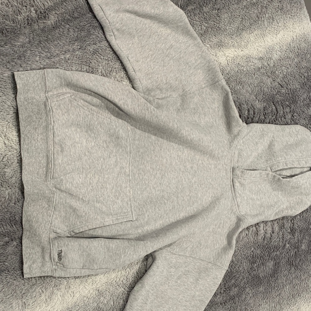 Aritzia Light Gray Hoodie Sweater